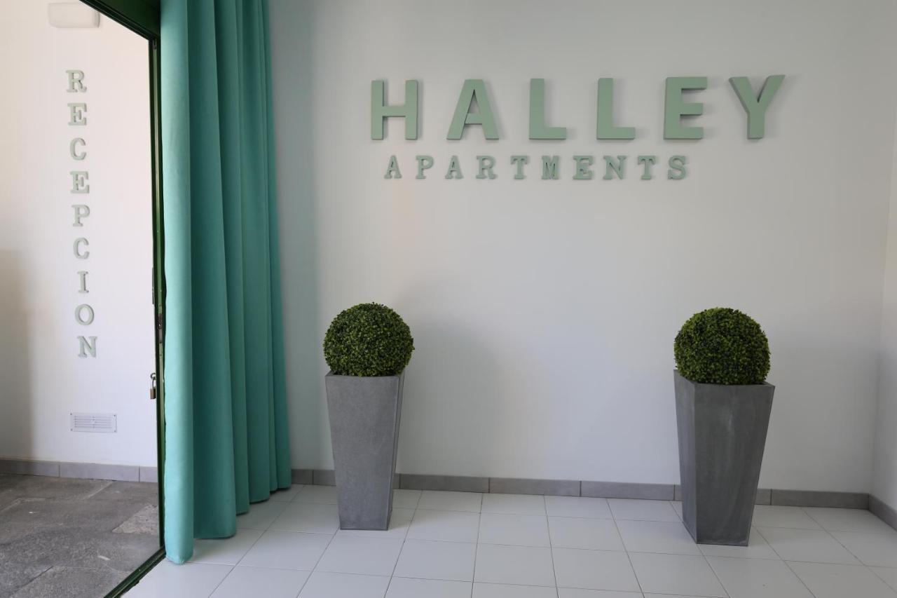 Mogán Halley Rooms מראה חיצוני תמונה